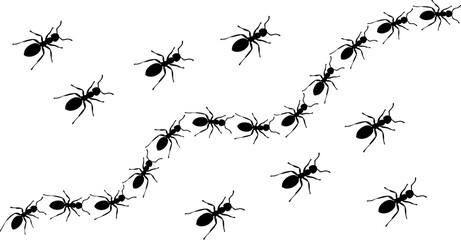 Numerous black ant silhouettes create an organized, winding trail in formation.