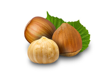 Hazelnut with Full Hazelnut Shell on White Background. Ideal for food packaging, nutrition and health concepts, ingredient guides, grocery and supermarket promotions