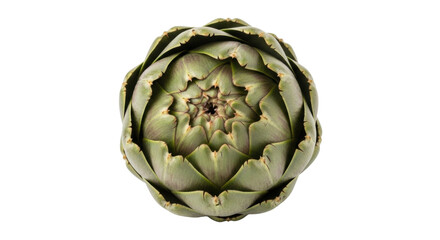 Fototapeta premium Isolated artichoke close-up. Top view of edible, healthy green plant food for gourmet cooking