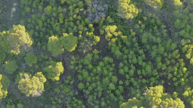 Mallos de Riglos (Spain) | Drone