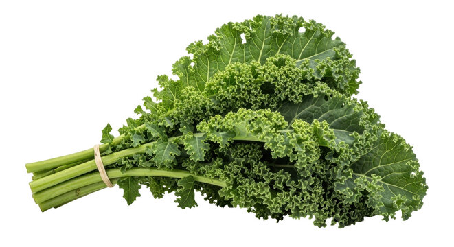 Isolated curly kale with stems, healthy ingredient for green detox smoothies, salads, soups
