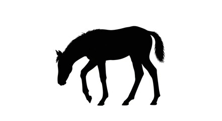 Naklejka premium Black Horse Silhouette Walking Profile.