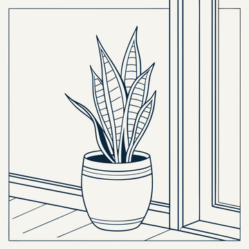 Snake Plant in Pot Near Window in Minimalist Line Art Illustration