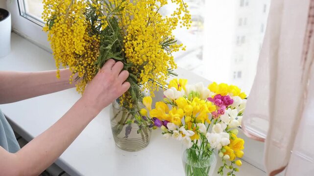 Top view of freesia and mimosa bouquets on windowsill. Bright spring decor and International Women&rsquo;s Day floral composition.
