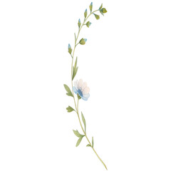 Watercolor floral branch with single white-blue blossom