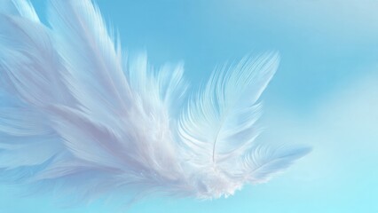 Obraz premium Delicate White Feathers on Sky Blue Background