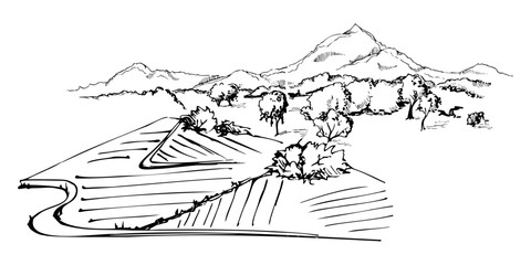 Stylized farmland landscape with cultivated field patches, trees and mountains in distance, country road. Isolated ink vector hand drawn illustration. Organic food labels, natural cosmetics branding