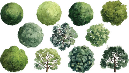 Collection of diverse green trees and bushes in various shapes and sizes foliage leaves © Pixel Park