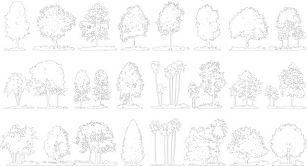 Fototapeta premium Collection of diverse tree outlines in black and white Various tree shapes and sizes are depicted with detailed foliage and ground