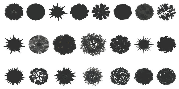 Set of black tree top view silhouettes for landscape architecture site plan and garden design vector illustration graphic