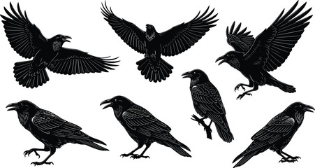 Obraz premium Black raven silhouettes set featuring various species of crows in flying and perched poses isolated on white background for spooky and nature designs