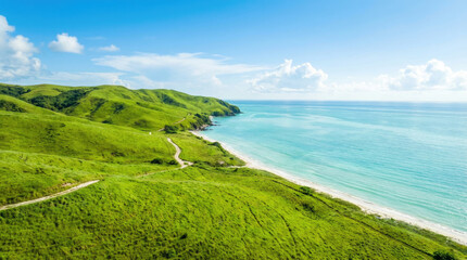 World wetlands day shows a vibrant green coastline meeting a turquoise ocean under a clear blue sky with scattered white clouds