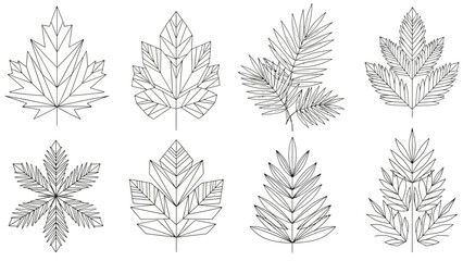 Fototapeta premium Collection of 8 intricate line drawings of various leaf types for botanical illustrations and