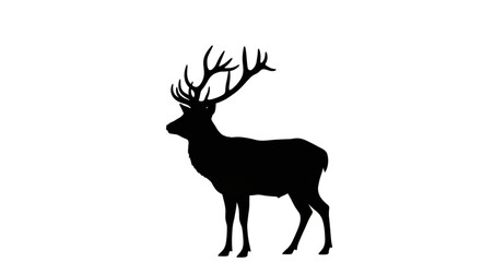 Deer Silhouette with Large Antlers Standing.
