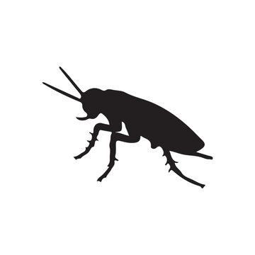 Side angle cockroach silhouette detailed insect pest vector. Part of cockroach silhouette collection