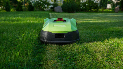 Robotic lawn mower cutting grass along the boundary wire with clear contrast between freshly mowed and unmowed areas. Smart home technology, landscaping, outdoor maintenance, and home improvement