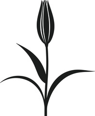 Obraz premium Black silhouette vector of a closed lily bud with three leaves on a white background flower