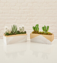 Beautiful floral arrangements: a hand-held bouquet of orange and white roses, and a pink tulip arrangement in a decorative striped box against a white brick wall. © UnitedPhotoStudio