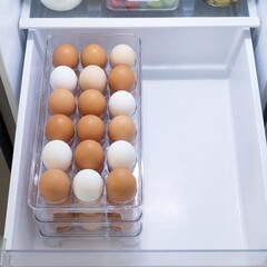 Fresh eggs stored neatly in transparent container inside refrigerator  