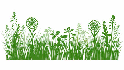 A lush green botanical illustration of various wildflowers and grasses © Uttam