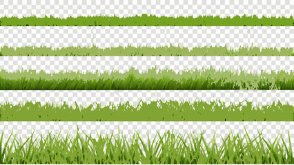 Several layers of vibrant green grass blades on transparent background © Uttam