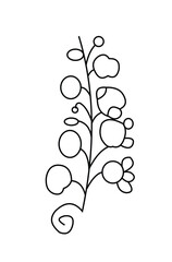 Black line drawing of a plant with flowers and leaves