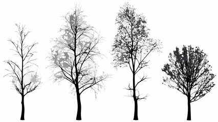 Silhouetted trees with varying foliage density against a white background © Uttam
