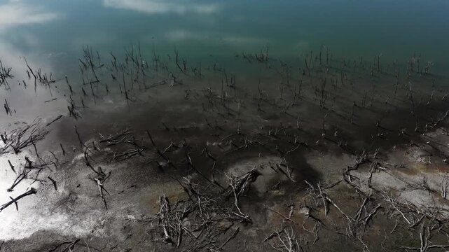 Cinematic aerial flight over Lake Doiran in northern Greece during autumn showing exposed dead trees and low shoreline vegetation under clear blue skies , tilt up shot revealing the horizon