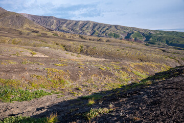 Rugged mountain landscape with rolling hills and majestic peaks, sparse vegetation on rocky terrain under clear blue sky, serene nature scene with remote wilderness