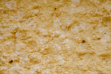 A high-detail close-up shot of a yellow porous limestone surface, featuring visible fossilized sea shells and a rough, granular texture.