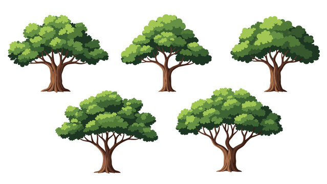 Collection of five distinct green leafy trees with thick brown trunks and wide branches for nature and environment concepts.