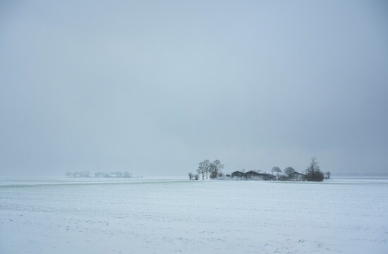 Snow covered polder landscape in winter at Flevoland province Netherlands