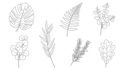 Delicate Line Art Collection of Various Botanical Leaves and Branches Isolated on White