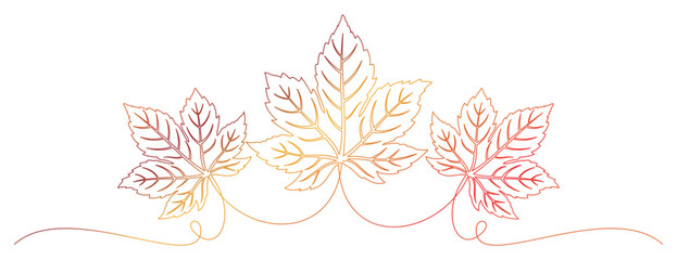 maple leaf line art style illustration 3.eps