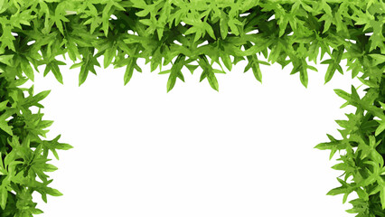 Obraz premium Green leaves create a natural frame around a blank white space