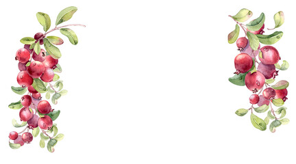 Lingonberry branch watercolor illustration with red berry and green leaf isolated on white. Botanical frame of northern berries hand drawn. Drawing berries for design element or greeting card border. © Ekaterina Lanbina