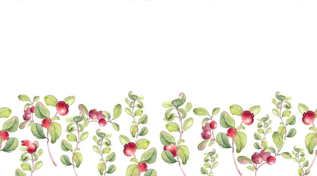 Little red wild berries on sprig watercolor seamless border isolated on white. Lingonberry and cranberry repeat background for design. Botanical horizontal pattern with natural elements for packaging.