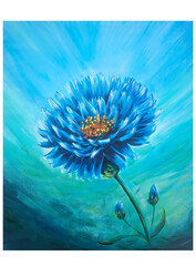 dandelion on a blue background