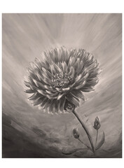 grunge background with dandelion