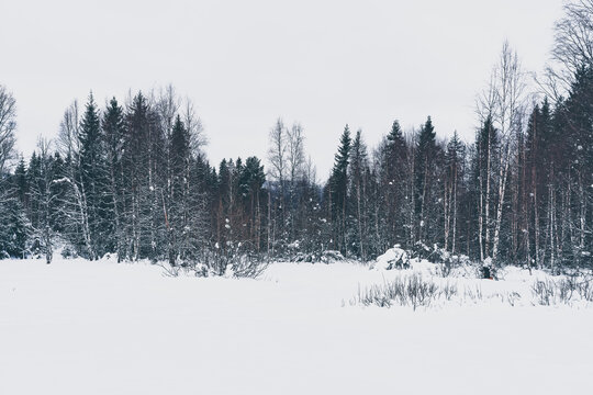 Winter landscape from the Hurdalsj&oslash;en Nature Reserve, Hurdal, Norway, February 2026.