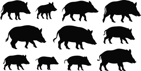 Wild boar silhouette set with piglets in various poses, black swine shapes isolated on white background, farm animal illustration collection © Itz Jisan