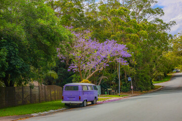 Fototapeta premium A purple van under a tree, purple flowers, in spring.