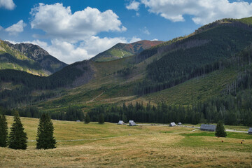Widok na Dolinę Chochołowską w Tatrach z górskimi szczytami, zielonymi łąkami i malowniczym krajobrazem.  Polska.  © jarizPJ