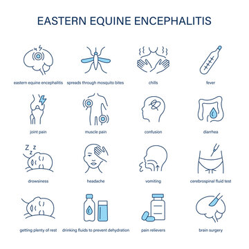 Eastern Equine Encephalitis symptoms, diagnostic and treatment vector icon set