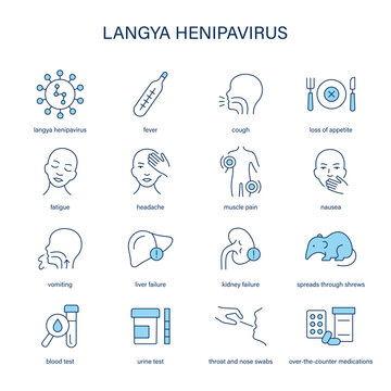 Langya Henipavirus symptoms, diagnostic and treatment vector icon set