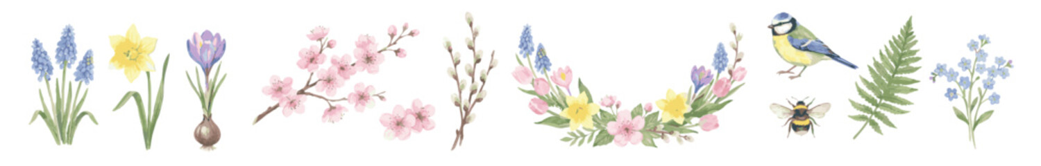 Watercolor meadow florals with muscari, daffodil, crocus, sakura, blue tits. Collection of Vector illustrations. Perfect for invitation, card, poster, banner, decoration © maria