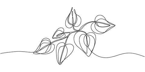 leaves of Nephthytis or Green Caladium continuous one line drawing, Fresh green arrowhead vine plant (Syngonium podophyllum) in black pot isolated on white background, Arrow head plant or ‎Syngonium. © Creative Tania