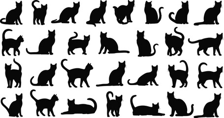 Set of black cat silhouettes showing different poses isolated on white background, domestic feline icons collection for design, logo, print, and decoration © MdRakib