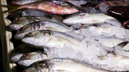 Fototapeta premium Fresh variety of raw sea fish displayed on crushed ice at a local seafood market, including mackerel and snapper, ready for sale.