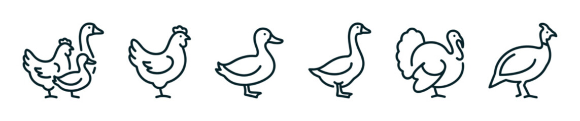 Fototapeta premium Various domestic poultry and game birds are depicted in a charming, minimalist black line art style, showcasing different farm animals as simple, clean icons